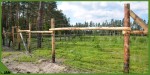 leśna 11.jpg