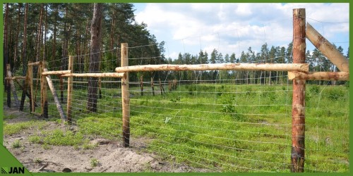 leśna 11.jpg