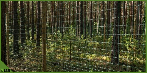 5e58614f4531b8f8797638c3c76a.jpg