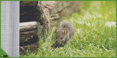 d862fc0a44c98f0d251fa165c9e3.jpg