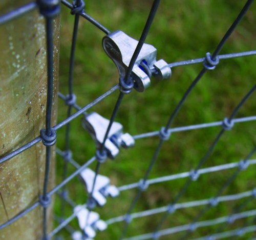 T-Clip Deer Netting_Zdjęcia.jpg