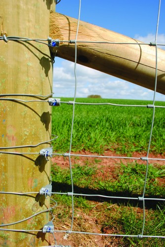 T-Clip Netting Stock Tornado_Zdjęcia.jpg