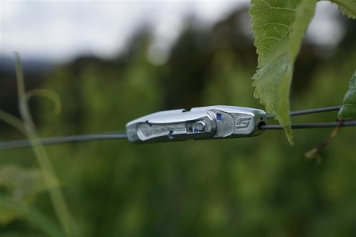 GP Fix Side Vineyards_Image.jpeg