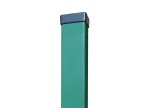 slupki_60X40_zielen.jpg