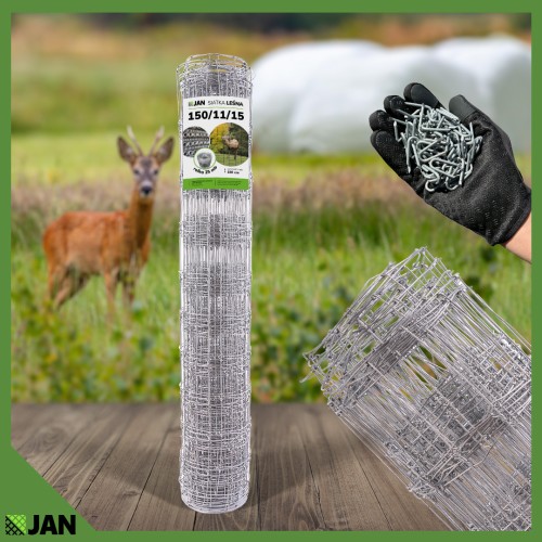 150-11-15-t-lama-allegro.jpg